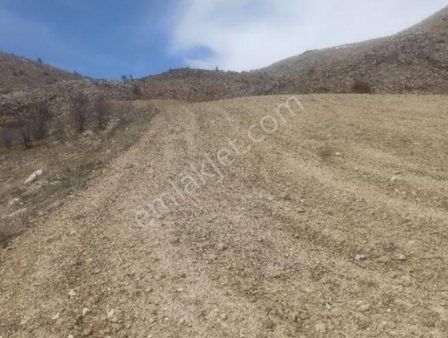 Murat Türkmen'den Isparta_yalvaç'ta Satılık Tek_tapu Yatırıma_uygun Hesaplı 10_dönüm_tarla