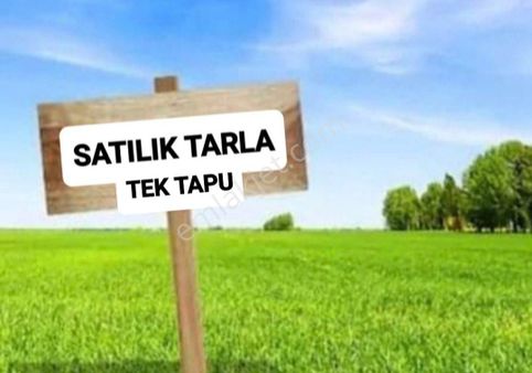 Murat Türkmen'den Uşak_eşme'de Satılık Tek_tapu Yatırıma_uygun Hesaplı 2737-m2_tarla