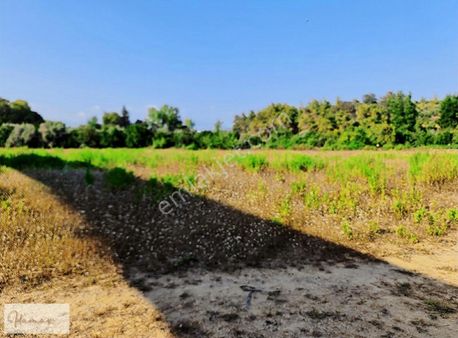 İdamax'tan Manavgat Çavuşköy De Köye 200m Harika Tarla