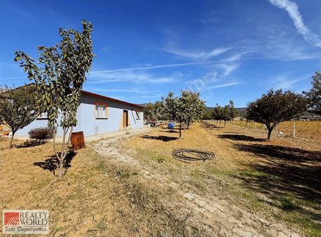 Serinsar Merkez'de Fırsat Ceviz Bahçesi Kurulu Düzen