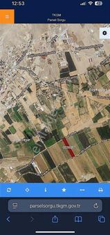 Akdenizden Yazırda Emsallerinden Uygun Tarla