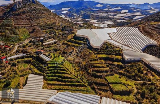 Alanya Özvadi Mahallesi Tek Tapulu Satılık Tarla