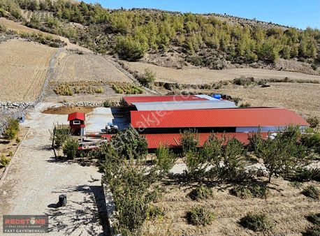 Bekirli'de 10 Dönüm ,tüm Ekipmanlarıyla Hazır ,satılık Çiftlik