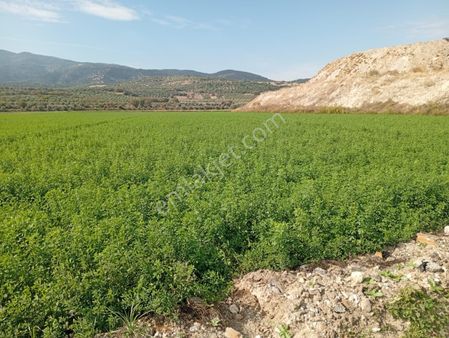 Duru Emlak'tan Satılık Tarla