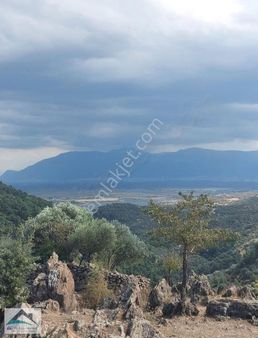 Camlıça Mahallesinde 573 M2 Satılık Arsa