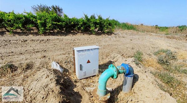 Saruhanlı Hacırahmanlı Kışla Ovasında Satılık Verimli Üzüm Bağı