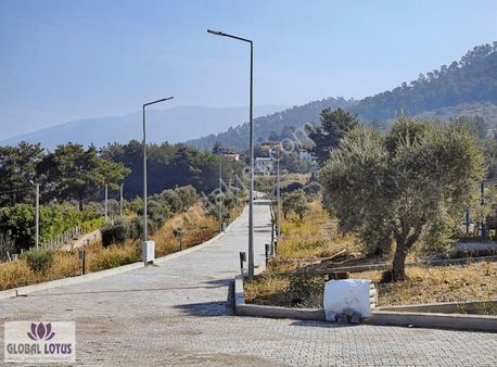 Kemalpaşa Yukarı Kızılca Satılık Hobi Bahçeleri