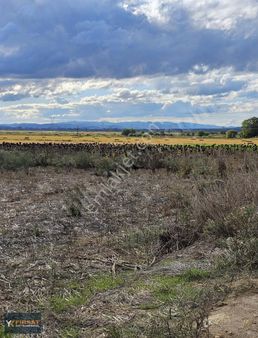 Şehrin Dibinde Dümdüz %5 Yapı İzni (5403sy) 8.5 Dönüm Fırsat !!!