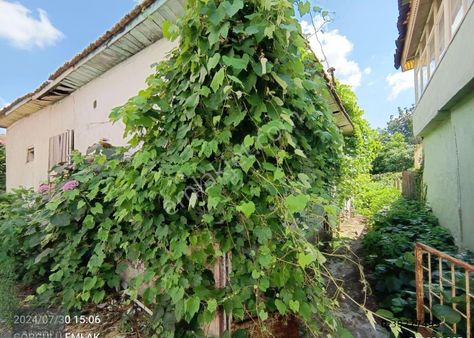 Acil Satılık Görgülü Emlaktan Satılık 384m2 Arsa + Kargır Ev