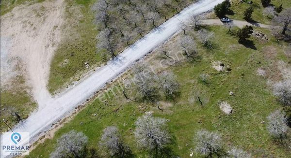 Aydın Paşa Yaylasında Satılık Tarla