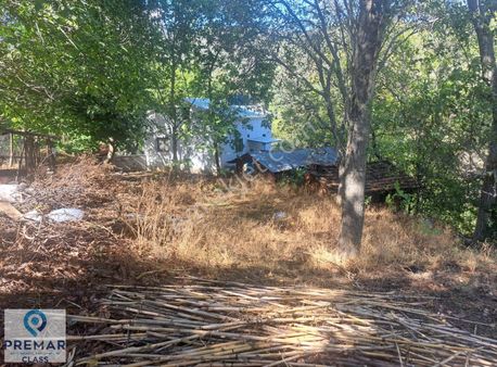 Aydın Eğrikavak Mahallesinde Satılık Bahçe