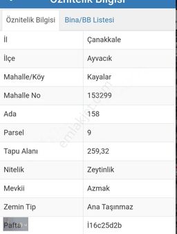 Kerim'den Küçükkuyu Asos Yolunda İçinde Konteyer Olan Zeytınlik