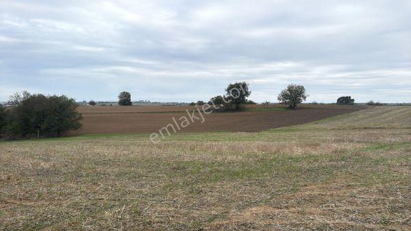 Çerkezköy Kızılpınar Satılık 250m2 Kupon Hisseler