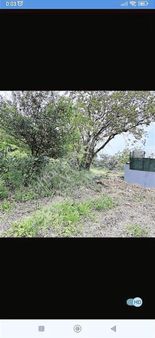 Acil Satılık Çatalca Elbasanda Acil Satılık Hisseli Tarla