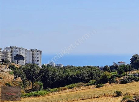 Emlak Kent'ten Deniz Manzaralı Ful Kredili Satılık 1+1 Daire