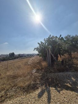 Bayramhacılı'da İnşaata Açık Tek Tapu 1.090 M Satılık Arsa