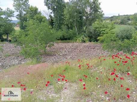 Balıkesir Savaştepe Cumhuriyet Mahallesi Satılık Tarla