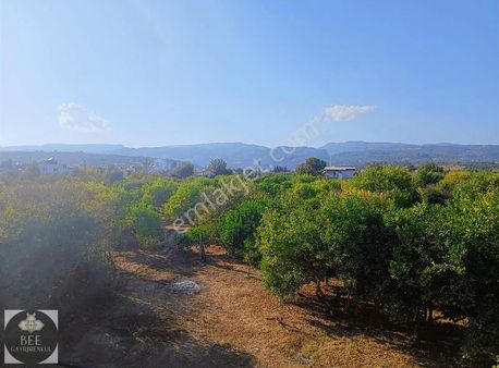 Bee Gayrimenkulden Elvanlı Merkezde Yatırımlık Bahçe