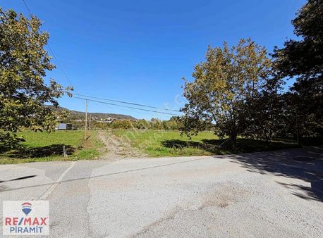 Sakarya Boğazköy'de Asfalt Yol Cepheli Satılık Tarla...