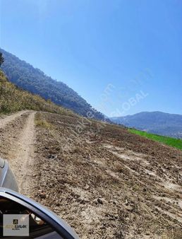 Altın Emlak Güzelyurt 19 Dönüm Tek Tapu Tarla