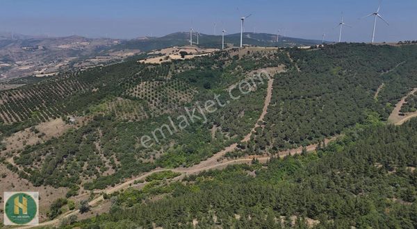 Has Real Estate Gayrimenkul Den Recep Mh. Satılık Tarlalar