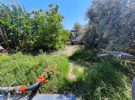 Premar Datça Kızlan'da Köyiçi İmarlı 1812m2 Arsa Ve Çiftlik