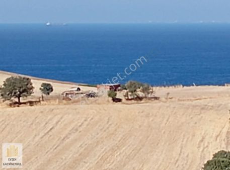 Çanakkale Ayvacık Babadere Köyü'nde 6040 M2 Tarla