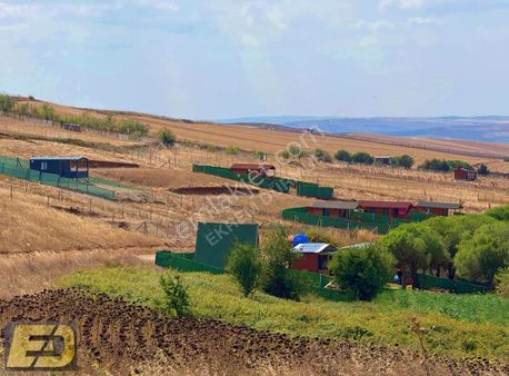 Ed Arsa Altın Fiyatına Toprak Sahibi Yapmaya Devam Ediyor