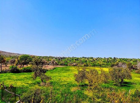 Çanakkale Ayvacık Kocaköy'de Eşsiz Konumda 8.906m2 Satılık Tarla