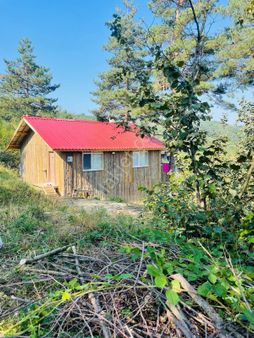 Kaynaşlı'da 17 Dönüm Müstakil Tapulu Satılık Arsa+teraslı Ev