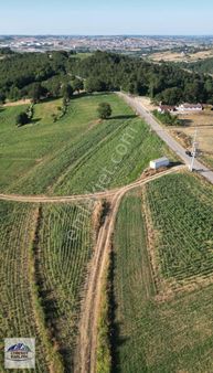 Cebesoy Emlak'tan Gölce Mahallesinde Asfalt Cepheli Kupon Arazi