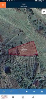 İstanbul Şile Çelebi Satılık 1000 M2 Yatırımlık Arsa