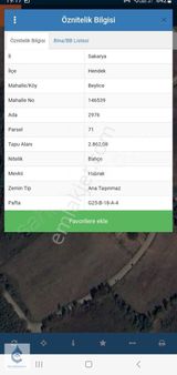 Sakarya Hendek Beylice Satılık Tarla