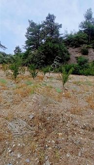 Yasaklar Group'tan Satılık Tek Tapu Bozkır Köyü Tuygutlu