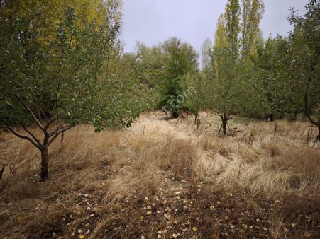 Sarayönü'nde Satılık Müstakil Bahçe