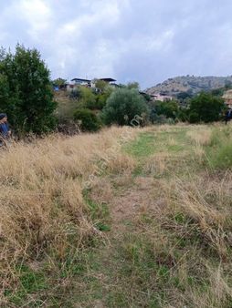 Aydın Nazilli Hasköy Mah Satılık