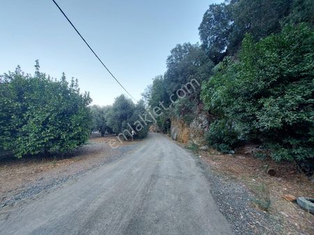Muğla, Ortaca, Karadonlar Da 1.300 M2 Müstakil 250m2 Konut İmarlı Arsa Satılık