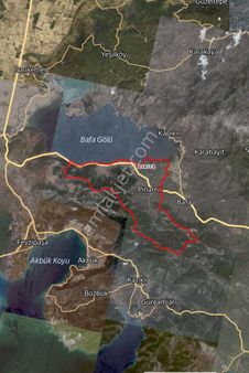 Bafa'da Satılık 8 Dönüm Zeytinlik