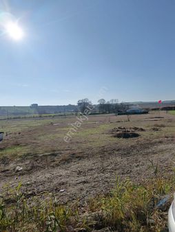 Tekrdağ Muratlı Muradiye Mahallesinde Satılık 410 M2 İmarlı Arsa