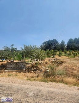 Balıkesir Sındırgı Da 6.635 M2 Köye Yakın Resmi Yola Yakın Arazi