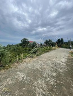 Salacık'da Deniz Manzaralı Arsa