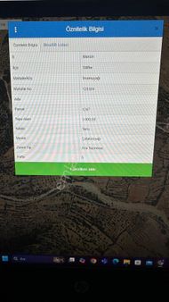 Mersin Silifke İmamuşağı Zeytin Bahçesi