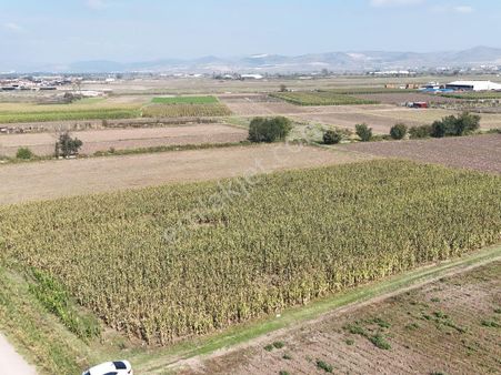 Startkey Yön Yakupköyde Merkeze Yakın Kadastral Yolu Olan Tarla