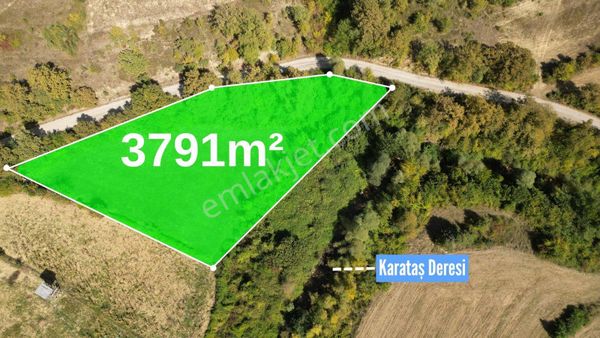 Hisardan Kavak Saraykentte Asfalt Yola 125 Metre Cephe Tarla