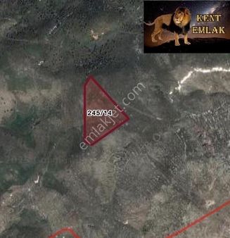 Yakupabdalda Satılık Yatırımlık 200 Metre Arsa