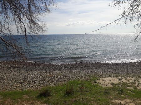 Tekirdağ Şarköy Mürefte Mh De Satılık Arsa