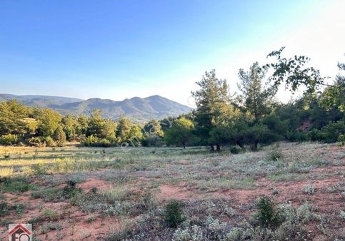 Bilecik Söğüt Tuzaklı Köyünde Satılık Tarla