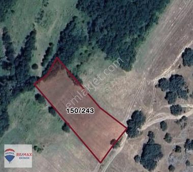 Kurudere Köyünde 3.111m2 Satılık Tarla Yolu Var