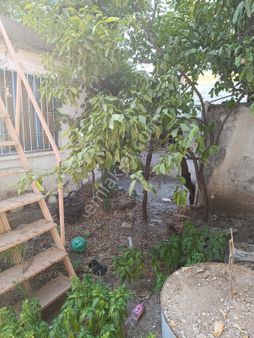 510 M2 Arsa Paylı 2 Adet Bitişik Parsel