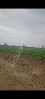 Oğuzay Emlak’tan – İzmir Tire Mahmutlar Köyü’nde Elektrikli Sulu Resmi Yollu Yatırımlık Tarla